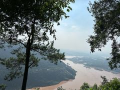 -铁山坪森林公园