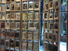 -猫的天空之城概念书店(束河店)