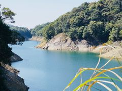 -广州市石门国家森林公园