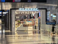 -石家庄正定国际机场-T2航站楼