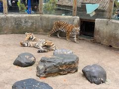 -云南野生动物园