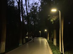 -赭山公园