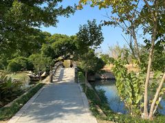 -三垟湿地
