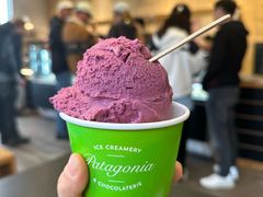 -Patagonia Chocolates(皇后镇店)