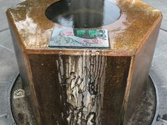 -广东温泉宾馆