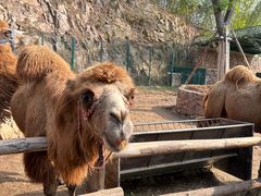 -南京汤山紫清湖生态旅游温泉度假区