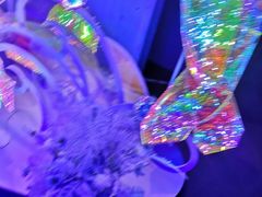 -石家庄海洋公园