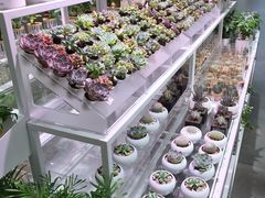 -KKV(深圳宏发大仟里店)