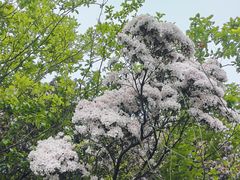 -杭州半山国家森林公园