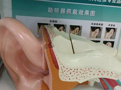 -海之声助听器(跃进南路赤坎店)
