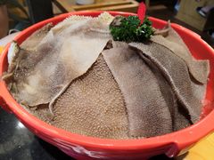 特色鲜毛肚-一斗火锅·招财羊毛肚(北温泉九号店)