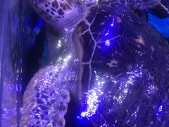 -海合安武汉极地海洋公园