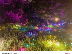 -沈阳植物园