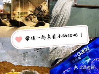 带宝贝一起给宝贝们玩耍吧！