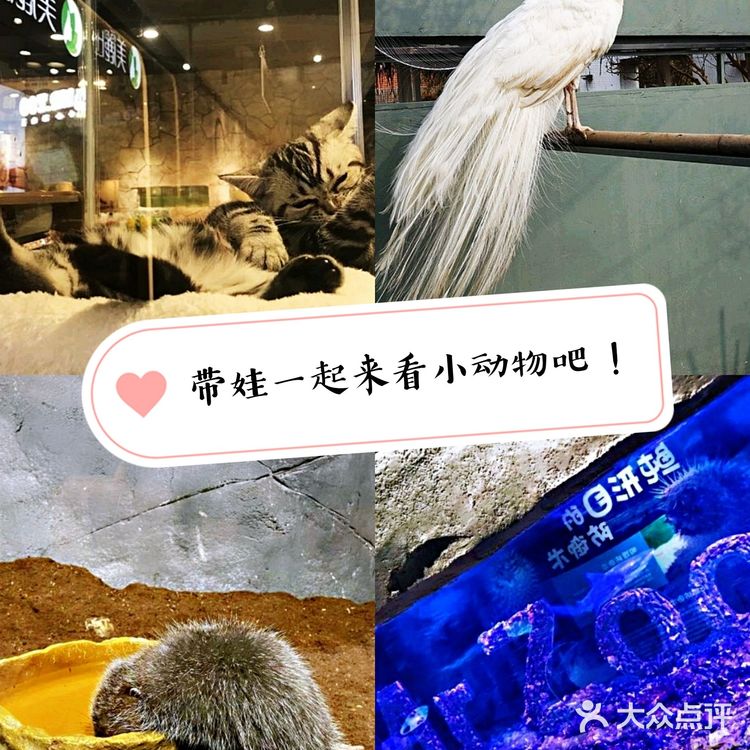 带宝贝一起给宝贝们玩耍吧!