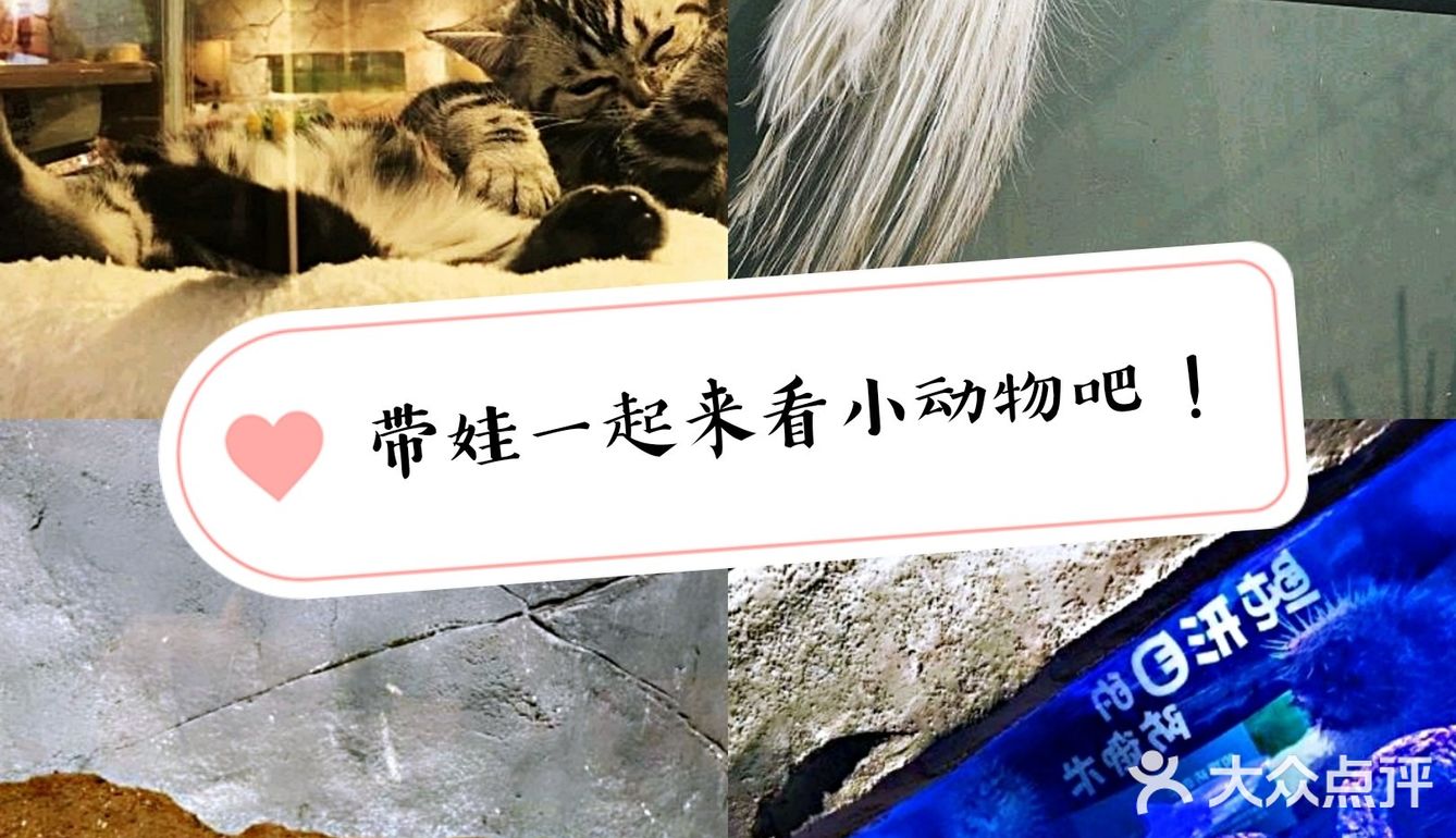 带宝贝一起给宝贝们玩耍吧！