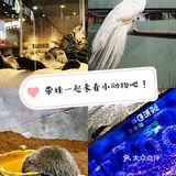 带宝贝一起给宝贝们玩耍吧！