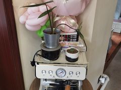 -SAFARI COFFEE