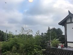 -慢丽江·云南野生菌土鸡锅(付家庄店)