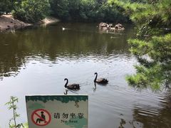 -大连森林动物园