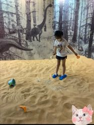 -恐龙探索乐园(磁器口店)