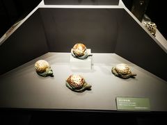 -大同市博物馆