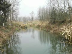 -桤木河湿地公园