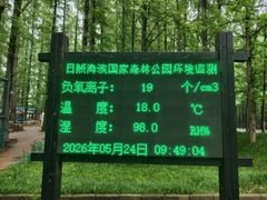 -日照海滨国家森林公园