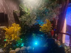 -魔指印象(西藏旗舰店)