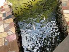 -侯臣咖啡文化村