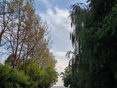 -动邦皮划艇·桨板·独木舟·团建户外运动俱乐部