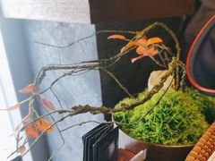 -巧庆楼·茶膳