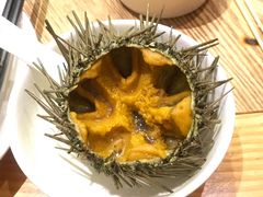 海胆-尚海豆捞(乐虹坊店)