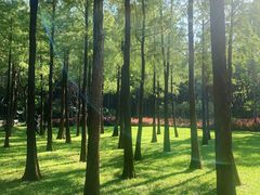 -晓港公园