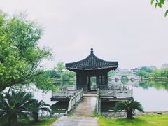 -杏花村文化旅游区