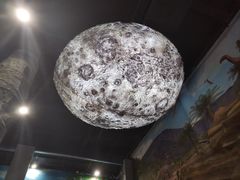 -辽宁古生物博物馆