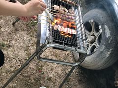 -崇明东平国家森林公园烧烤房车露营地