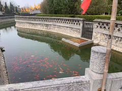 -大槐树寻根祭祖园