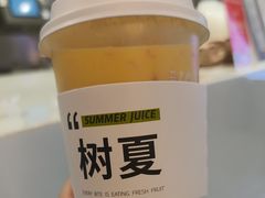 -树夏(成都招商大魔方店)