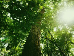 android_upload_pic-三块石国家森林公园