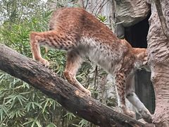 -宁邦·家宴·南京菜(红山动物园店)