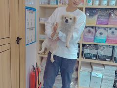 -博特宠物医院24h犬猫全科.骨科·异宠
