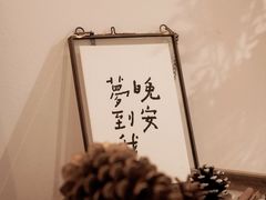 -猫里有甜