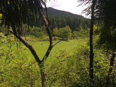 -武陵山森林公园