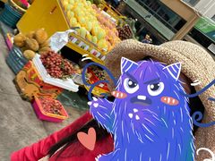 -三亚新鸿港水果一级批发市场