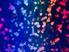 -成都浩海立方海洋公园