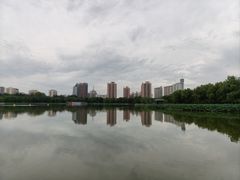 -莲花池公园