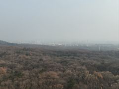 -灵谷景区