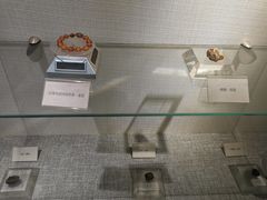 -抚顺煤矿博物馆