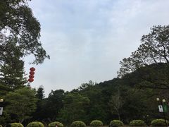 -云溪植物园